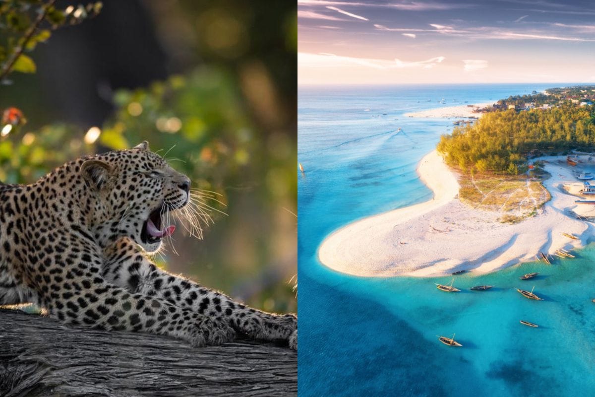 12 Days Tanzania Bush to Beach Classic