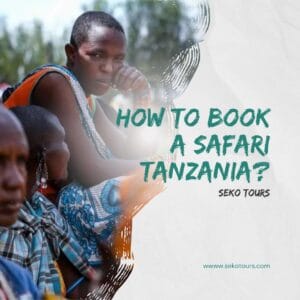 Read more about the article How to Book an Adventure Safari in Tanzania ?