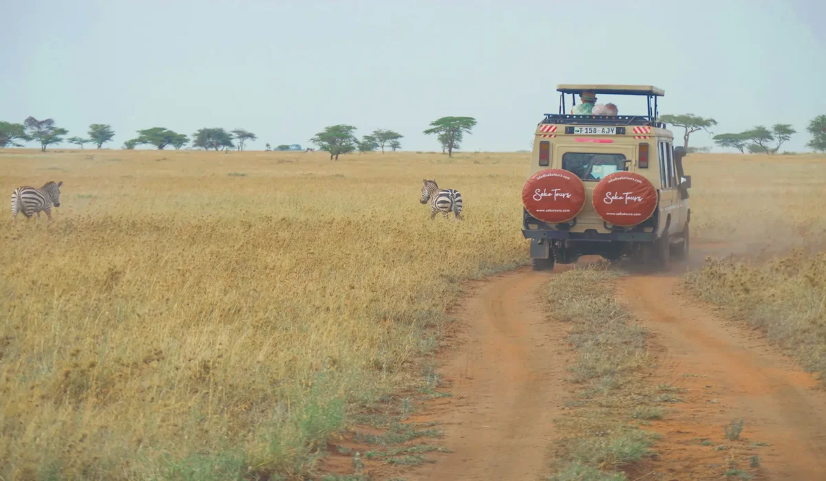Africa Safaris Experience At Serengeti National Park