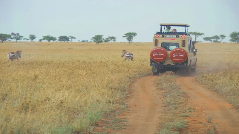 Africa Safaris Experience At Serengeti National Park