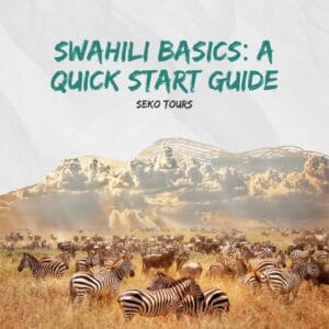 Read more about the article Swahili Basics: A Quick Start Guide
