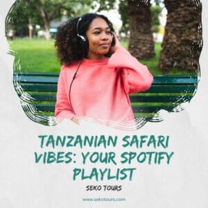 Read more about the article Tanzanian Safari Vibes: Your Spotify Playlist
