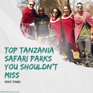 Read more about the article Top Tanzania Safari Parks You Shouldn’t Miss