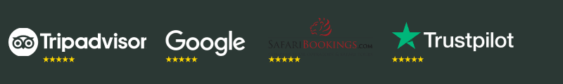 Get a Free Africa Safari Quote - Africa Safari Experience