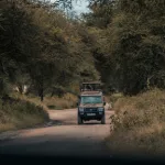 13 Days Tanzania Honeymoon Safari & Zanzibar Beach Escape - Africa Safari Experience