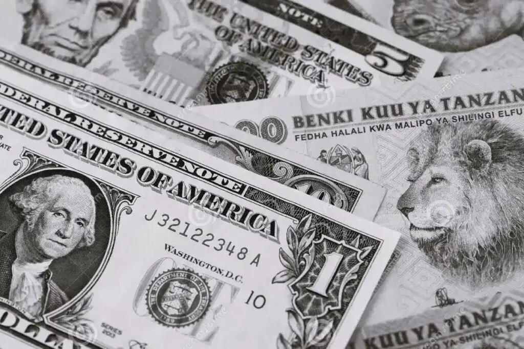 Cash and Currency during Tanzania Safari | Africa Safaris Experience