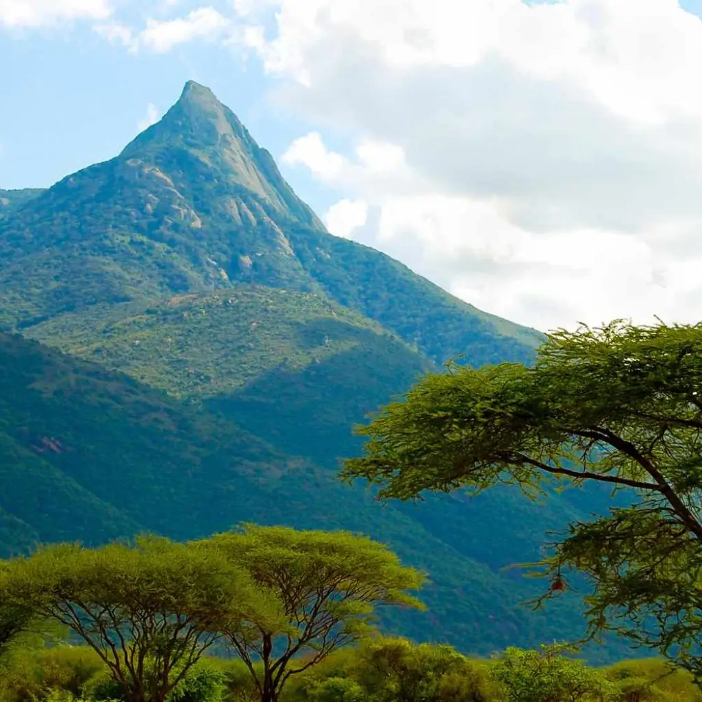Mount Longido Cultural and Trekking | Africa Safaris Experience Safaris