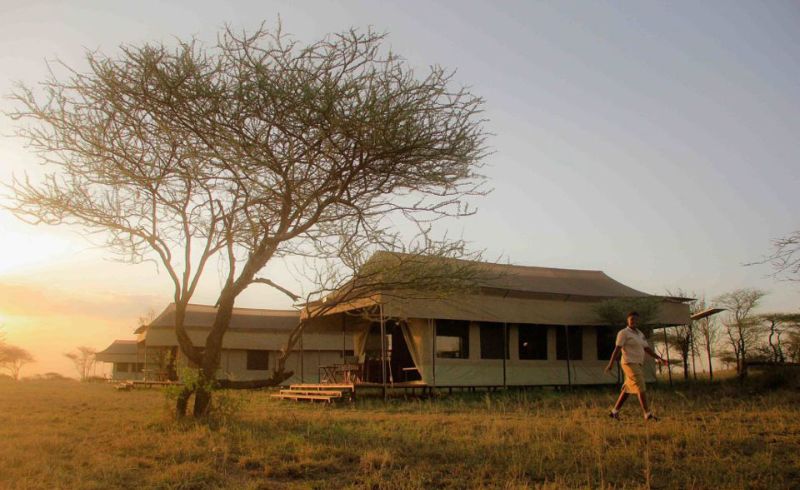 About Hippo Trails Camp | Hotels In Tanzania | Tanzania Safari