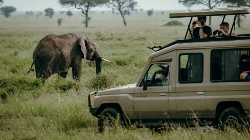 The Ngorongoro Crater in Northern Tanzania | Africa Safaris Experience
