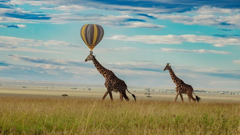 Hot air balloon flights in Serengeti National Park | 4 Days Hot Air Balloon Safari In Tanzania