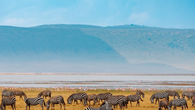 Ngorongoro Crater – Travel Guide, Map & More!