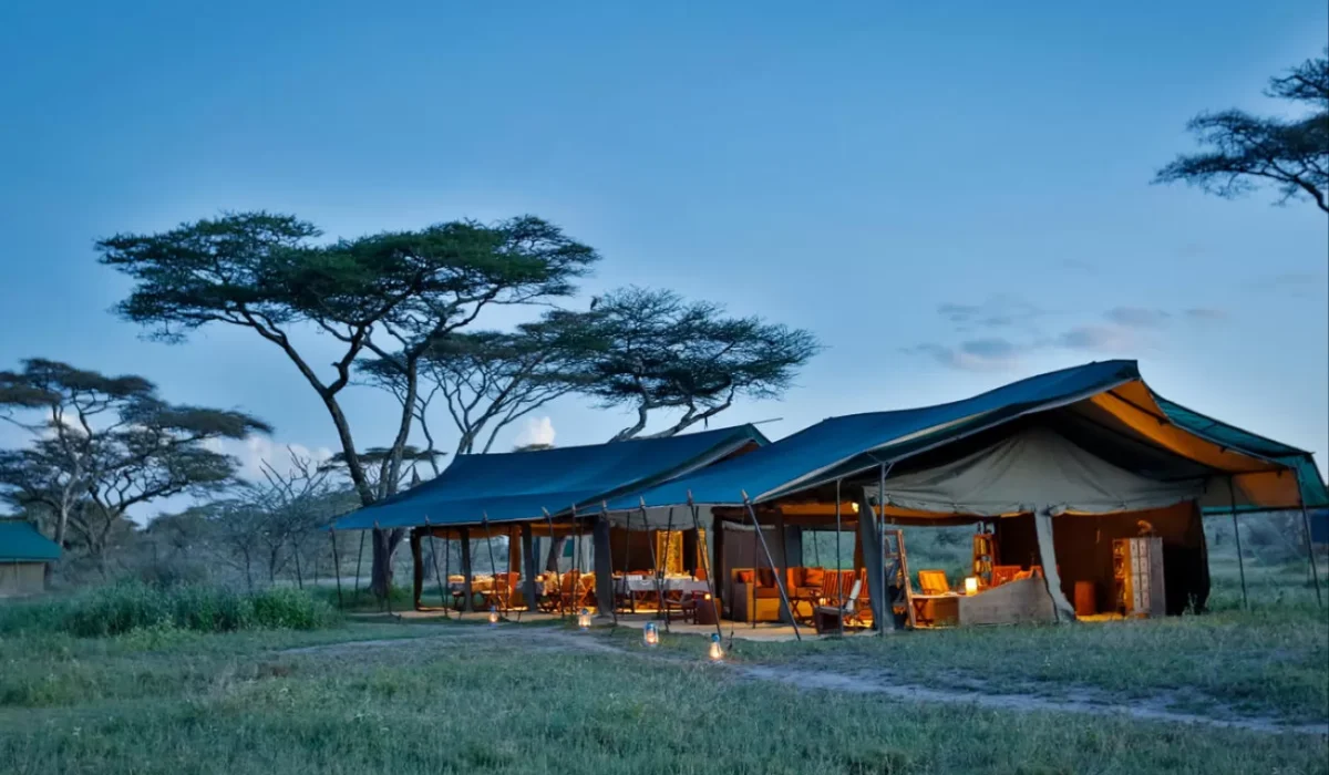 Accommodation in Kogatende Nyikani Migration Camp – Kogatende Photos