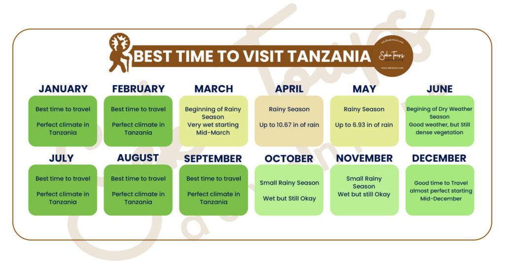 Best Time To Visit Tanzania - A Month By Month Guide