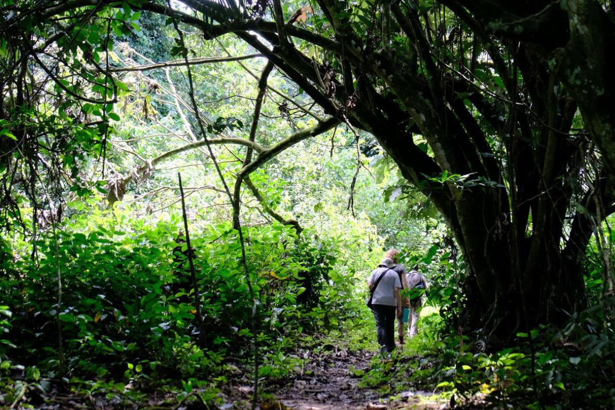 Hiking and Nature Walks
