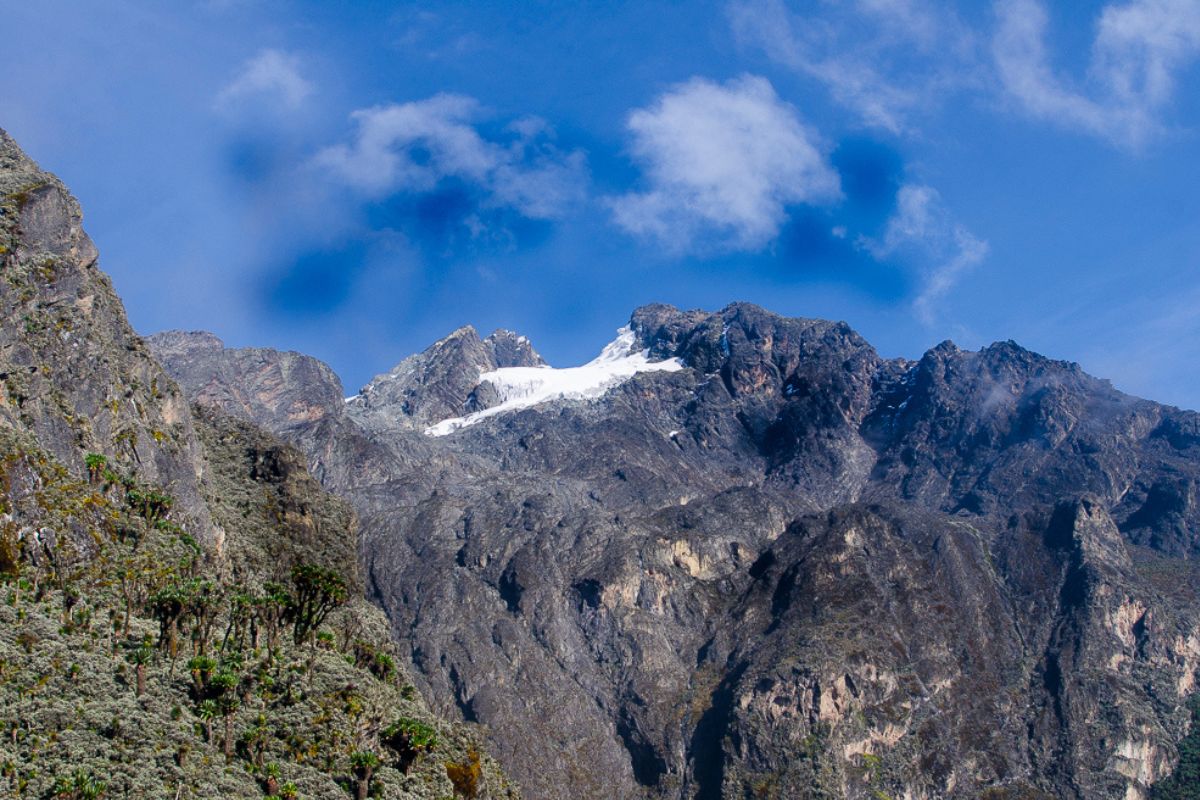 Mount Rwenzori National Park