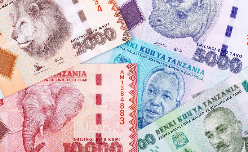 Tanzania currency | Currency of Tanzania and Zanzibar