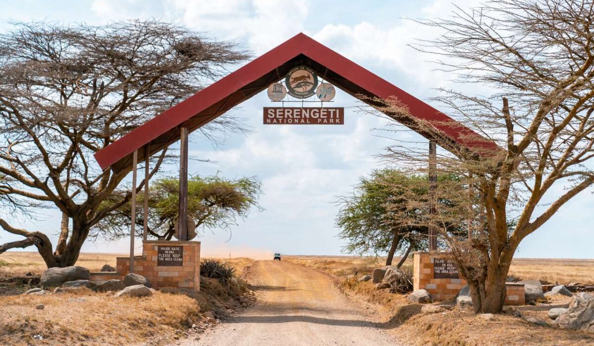 Activities in Serengeti National Park - Your Complete Guide to the Best Experiences