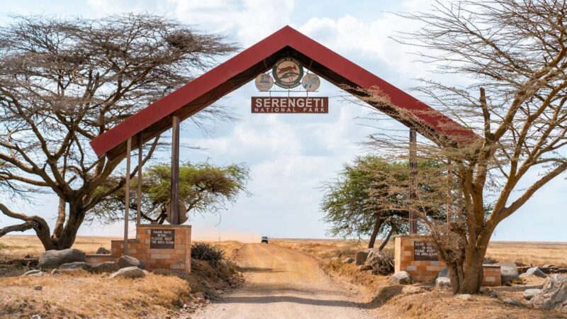 Activities in Serengeti National Park - Your Complete Guide to the Best Experiences