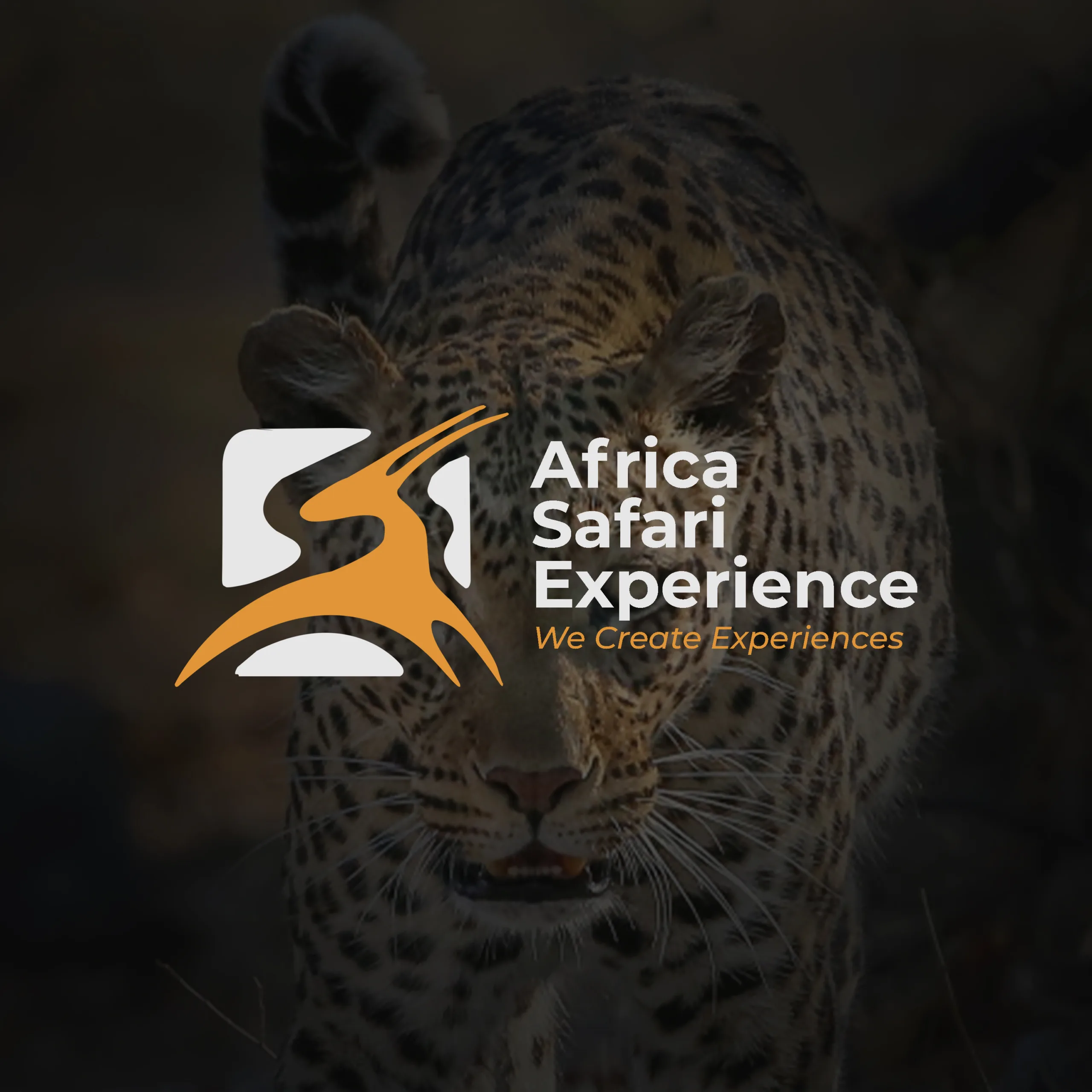 About Us Africa Safari Experience Logo