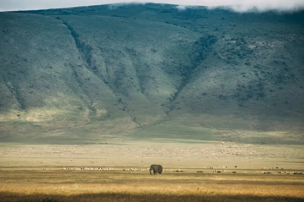 Safari itinerary image