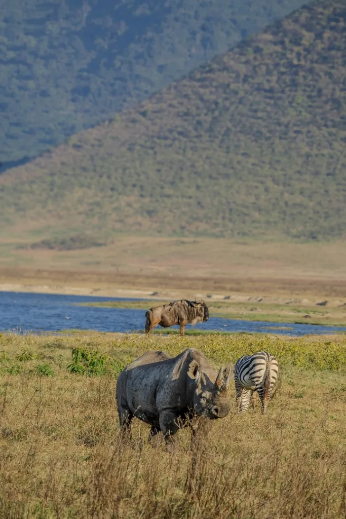 Safari itinerary image