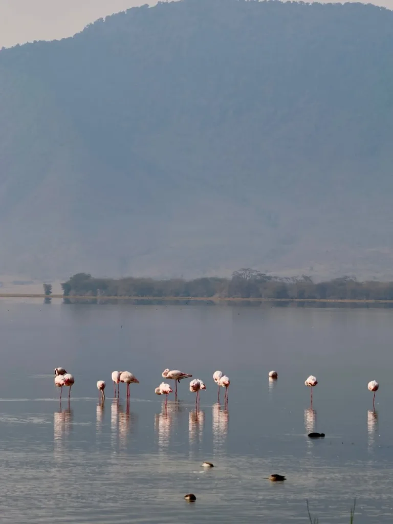 Safari itinerary image