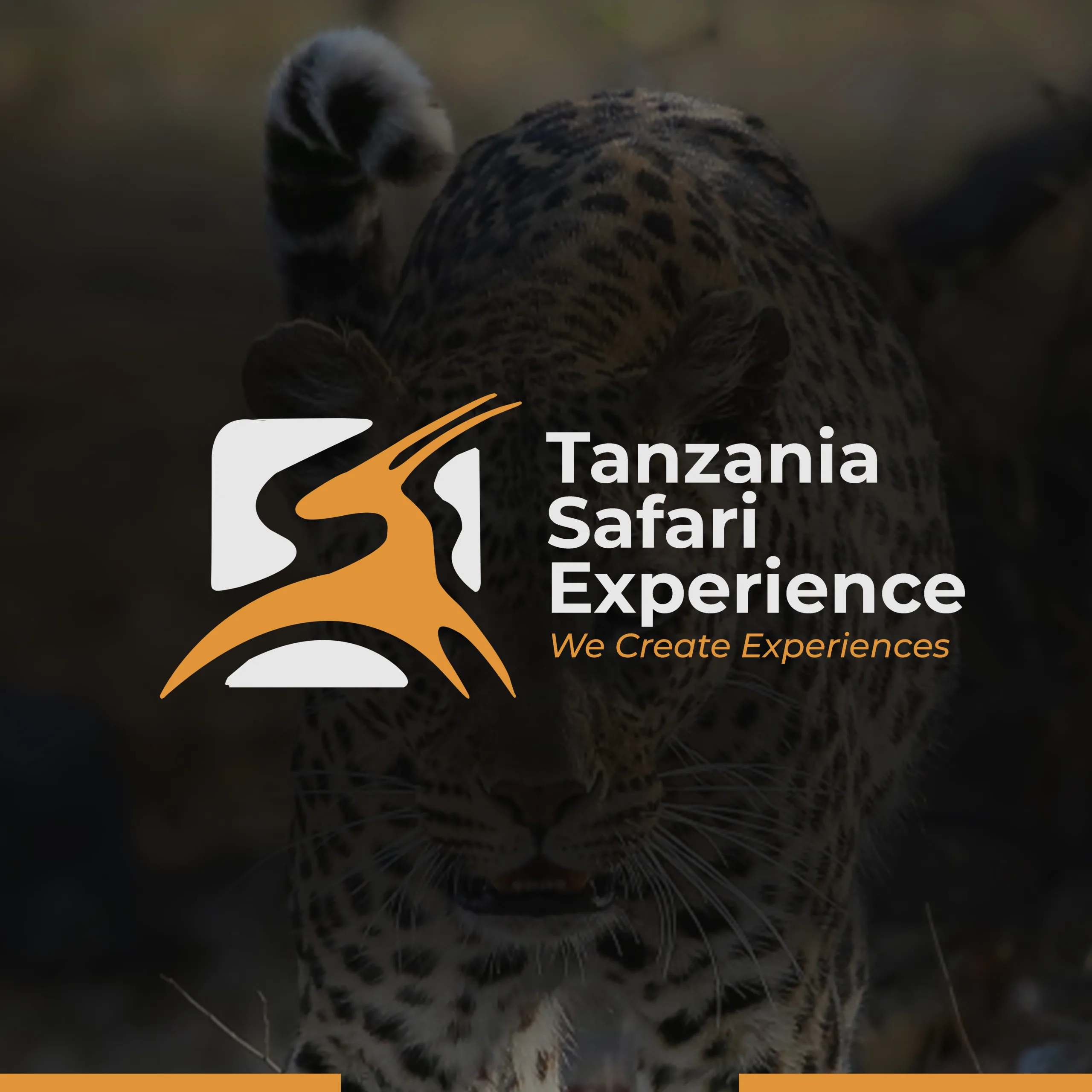 About Us Tanzania Safari Experience Logo