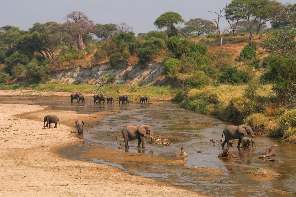 Safari itinerary image