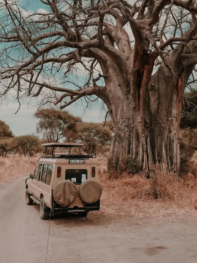 Safari itinerary image