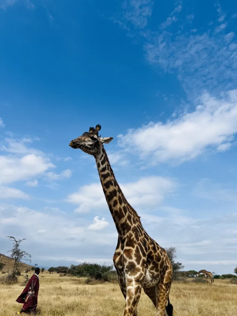 Safari itinerary image