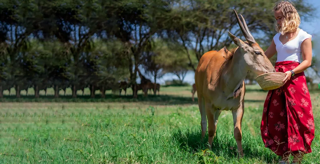 Serval Wildlife Sanctuary 3 Days at Serval Wildlife Sanctuary — Get Free Safari Quote