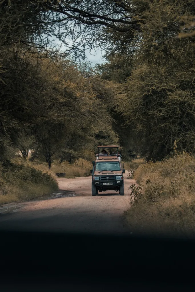 Safari itinerary image