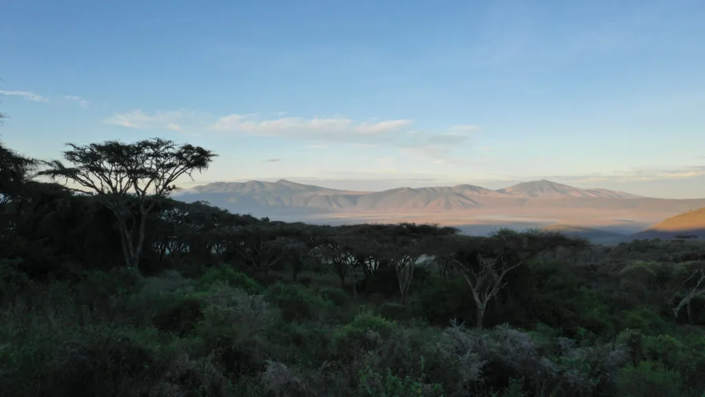 Ngorongoro Lions Paw Camp - Tanzania Safari Experience
