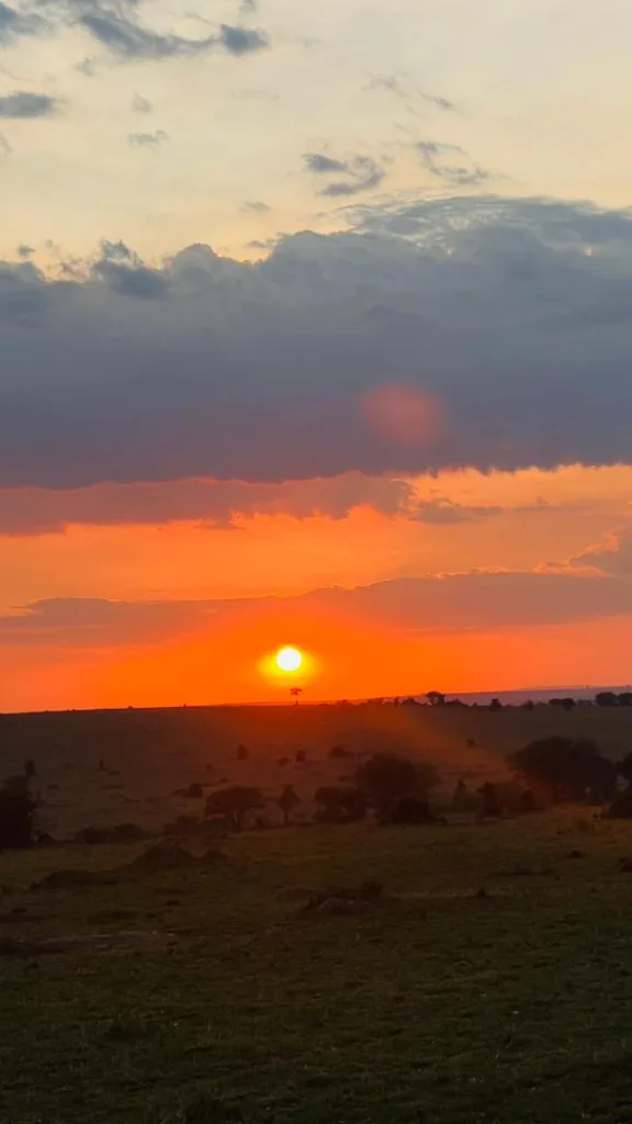 Safari itinerary image