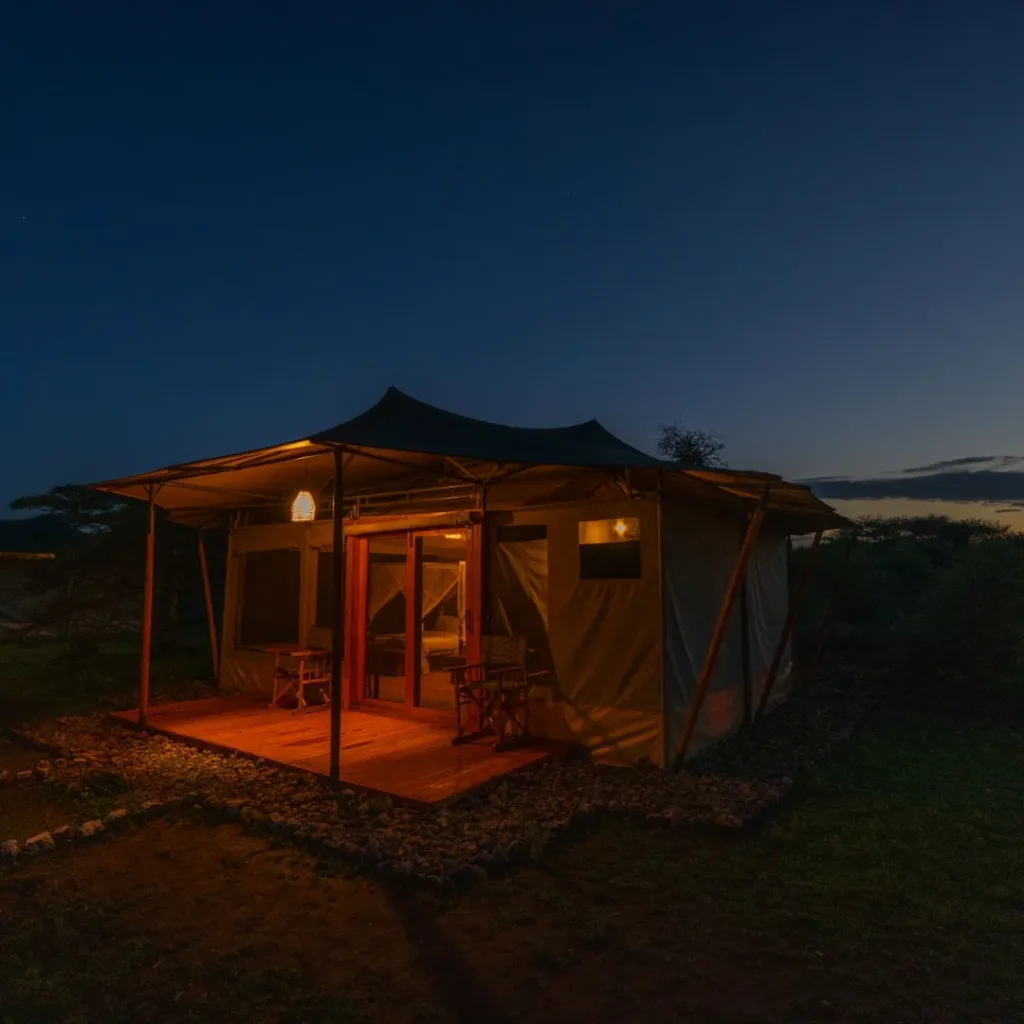Safari Haven Migration Camp - kogatende - Tanzania Safari Experience