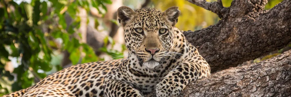 Tanzania Itinerary 3 Days Safari Tanzania Safari Experience - Tanzania Safari Specialist