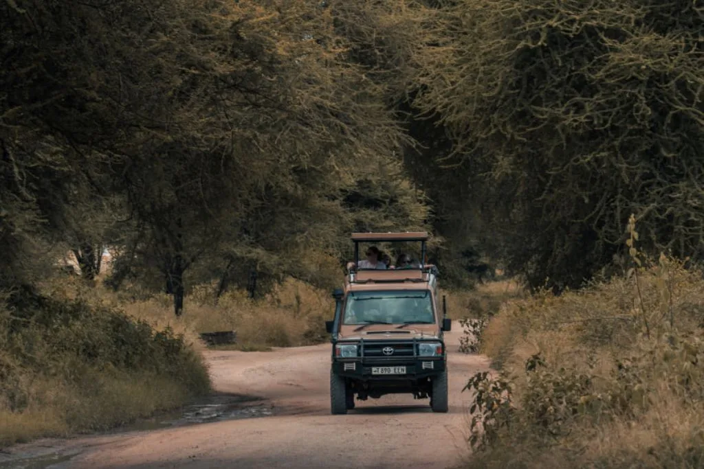 Game Drive in Tanzania Experience the Ultimate African Safari