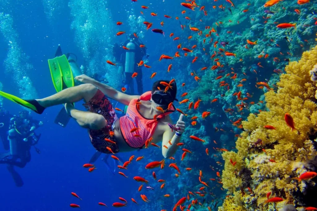 Deep Sea Diving in Zanzibar - Safari Blue