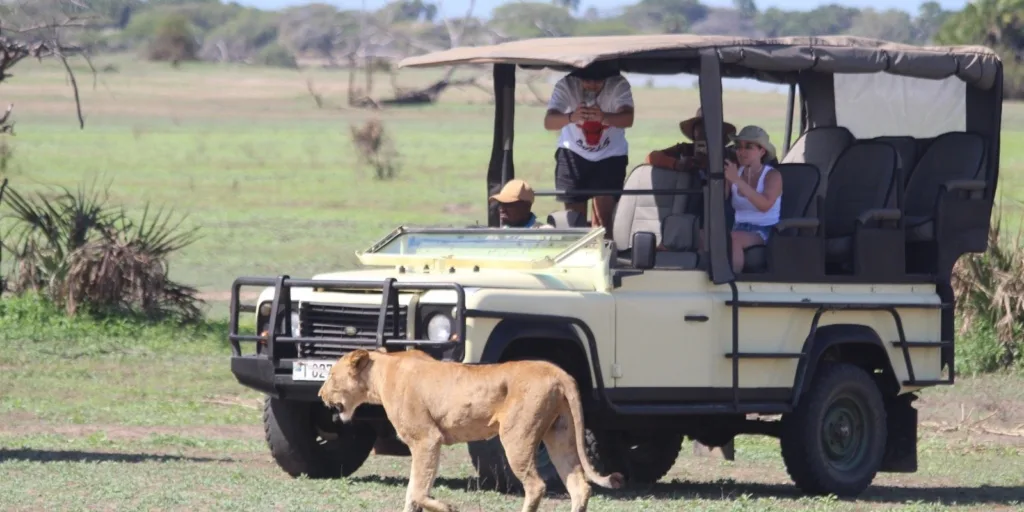 Safari itinerary image