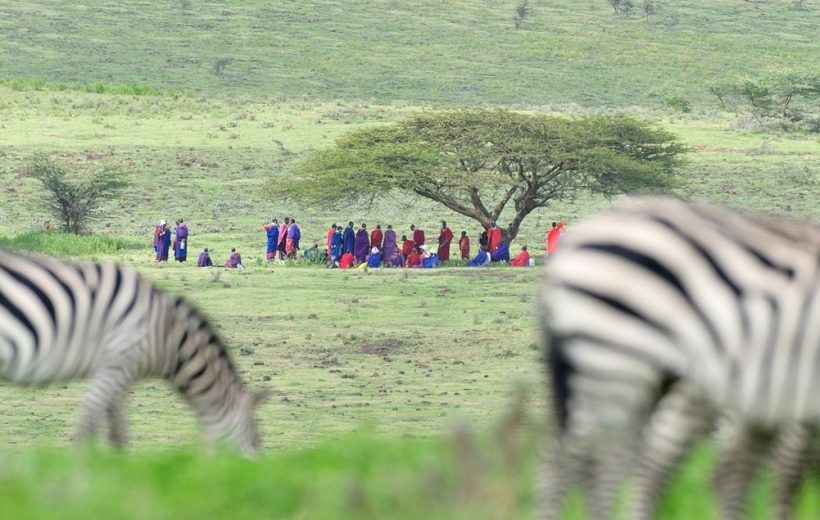 Tanzania Itinerary 4 Days 3 Days Tanzania Safari Experience