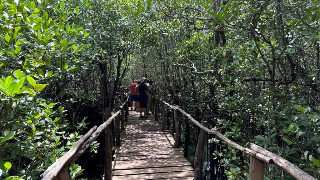 Jozani Forest In Zanzibar - Zanzibar Experience