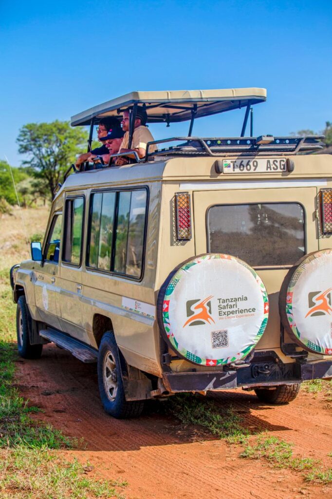 4 Days Shared Camping Tanzania Safari