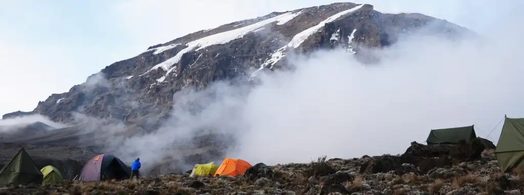 Lemosho Summit Success Rate - Kilimanjaro Experience