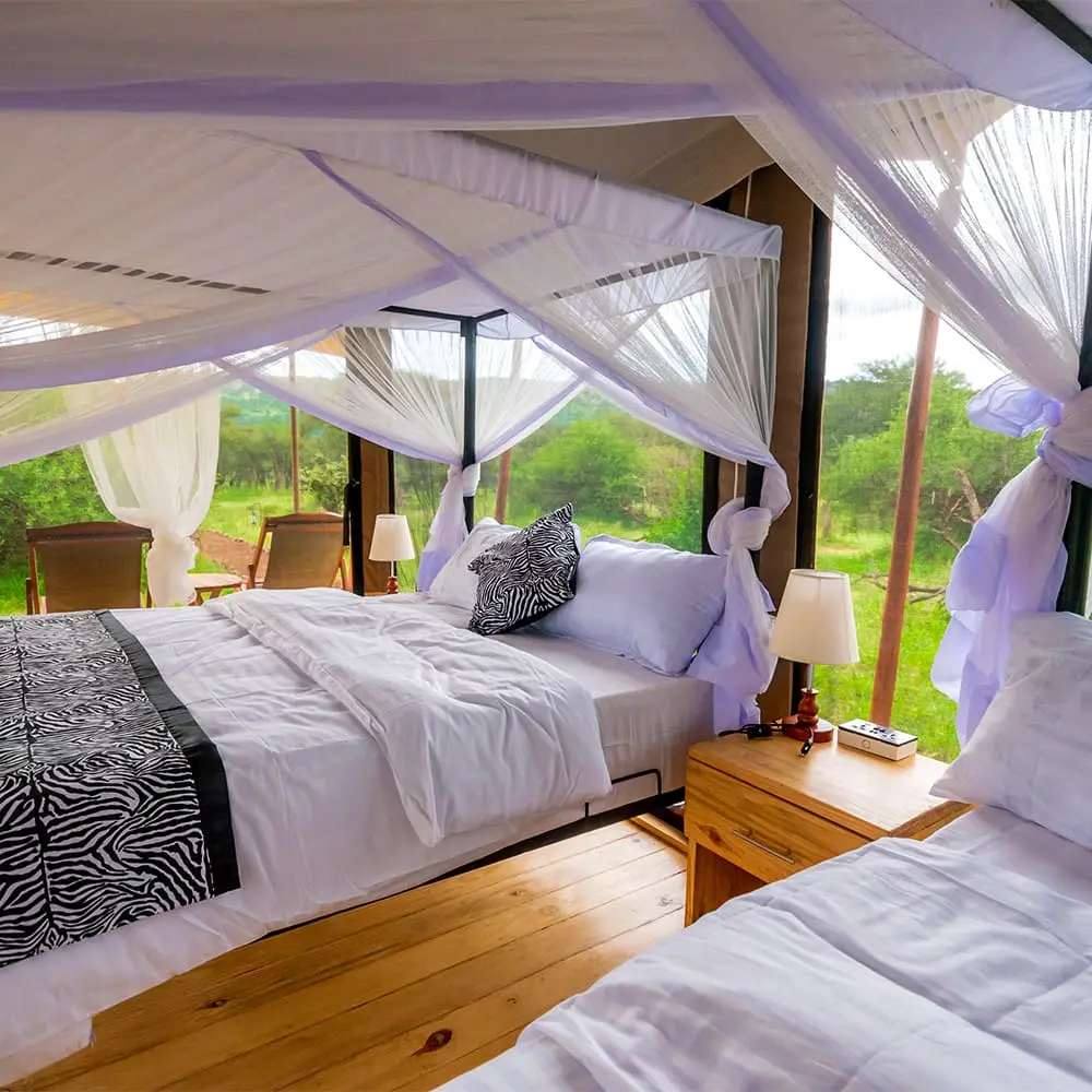 Friends Camps and Lodge โ Experience the Wild with Comfort.