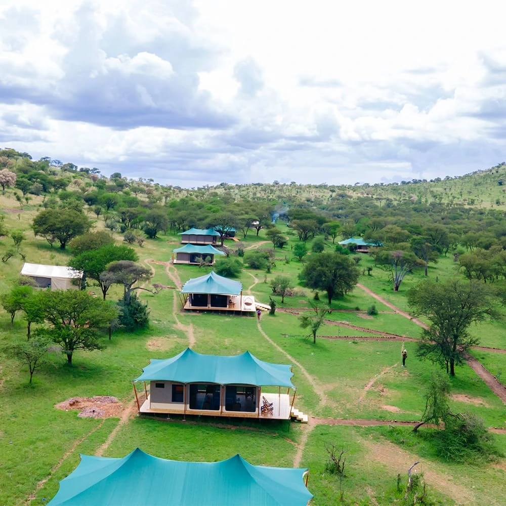 Friends Camps and Lodge — Experience the Wild with Comfort.