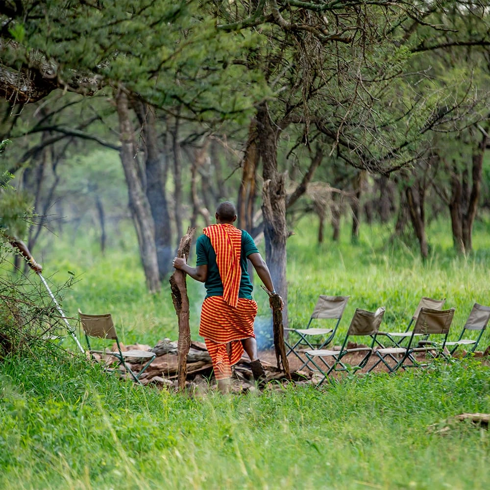 Friends Camps and Lodge โ Experience the Wild with Comfort.