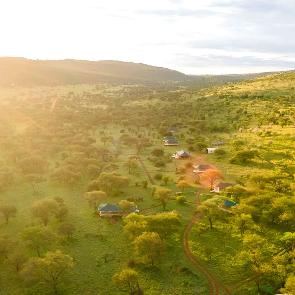 Friends Serengeti Tented Camp - Tanzania Safari