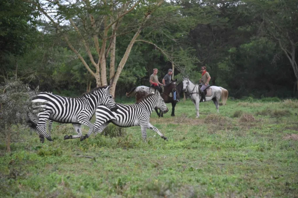 Horseback Safari at Dolly Estate