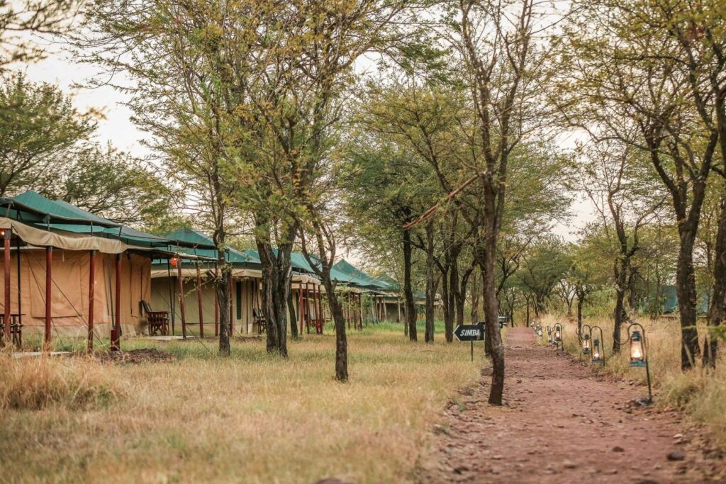Tukaone Weavers Serengeti Camp
