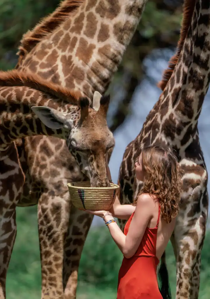 Serval Wildlife Sanctuary Park Photo